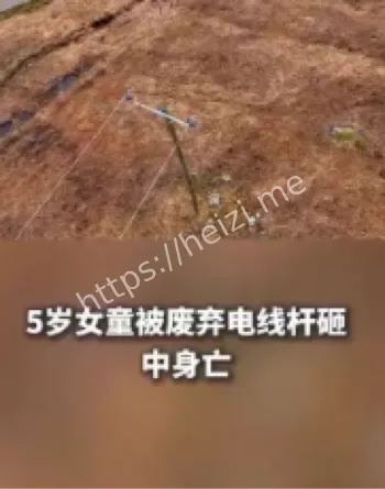 湖南5岁女童电线杆事故真相