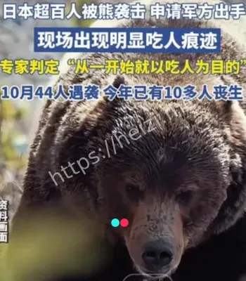 日本熊灾现场